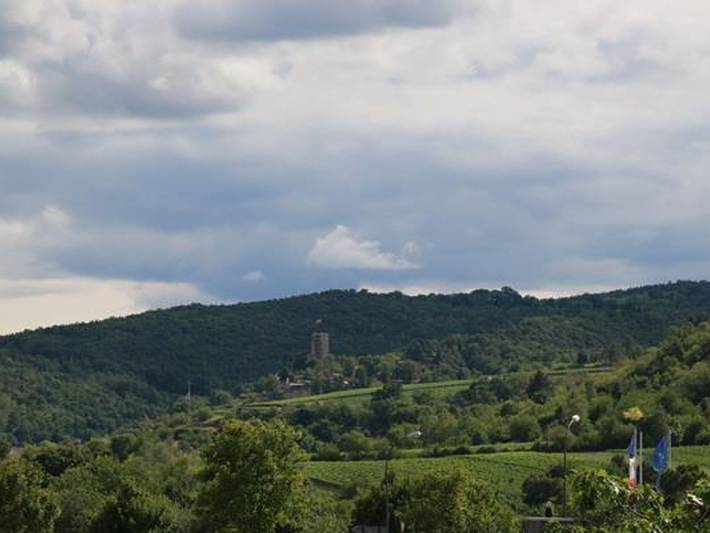 Ferienwohnung für 2 Personen, mit Balkon in Deutsche Weinstraße - 2
