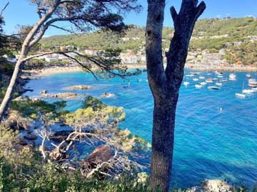 Vakantiehuis voor 8 Personen in Llafranc, Palafrugell, Afbeelding 2