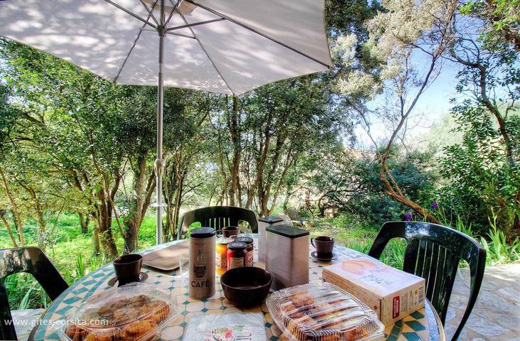 L'Olivo in Lumio, Calvi und Umgebung