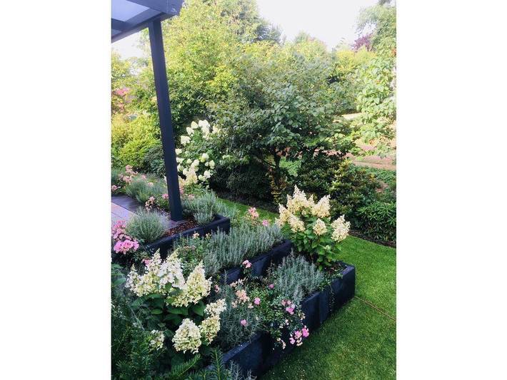 Ferienwohnung für 2 Personen, kinderfreundlich am Niederrhein - 2