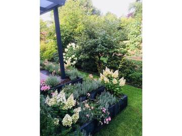 Appartement De Vacances pour 2 Personnes dans Hamminkeln, Ruhr, Photo 1