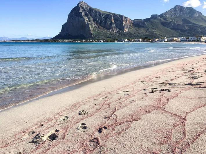 Appartamento intero, Carlo Gaia 165 in San Vito Lo Capo, Provincia di Trapani