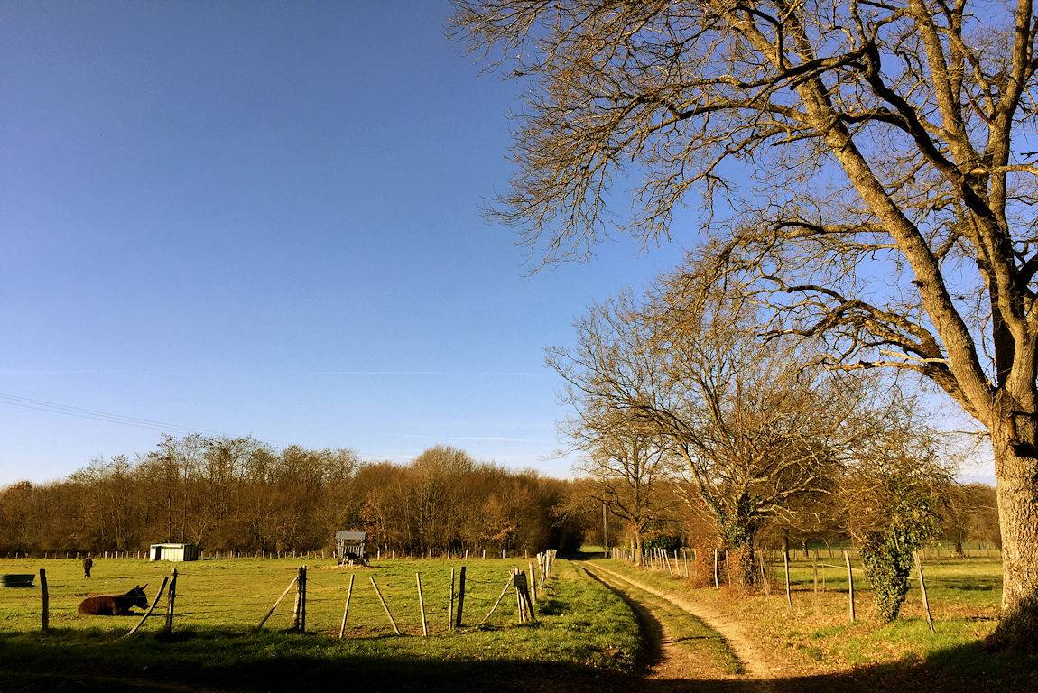 Petite maison des amoureux au calme 1h30 de Paris, 11 km Sancerre in Cosne-Cours-sur-Loire, Vallée de la Loire