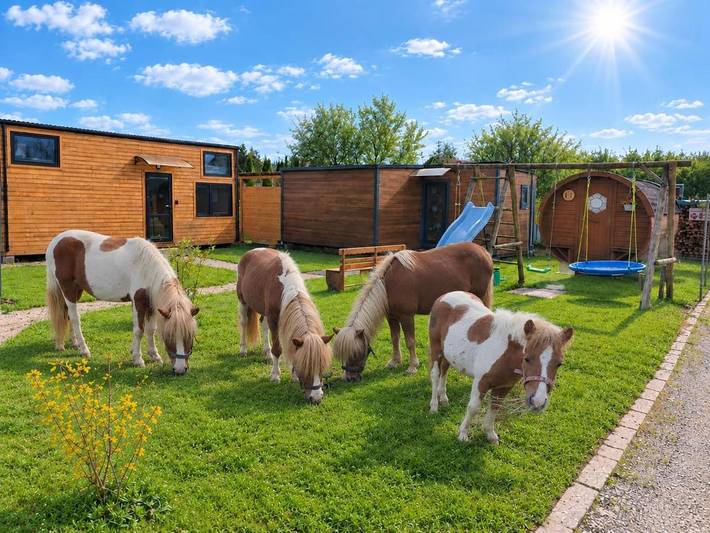 Camping voor 6 personen, met Tuin in Allgäu