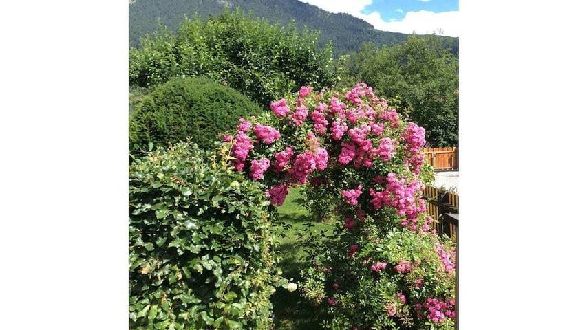 Ferienhaus für 2 Personen, mit Garten in Garmisch-Partenkirchen - 3