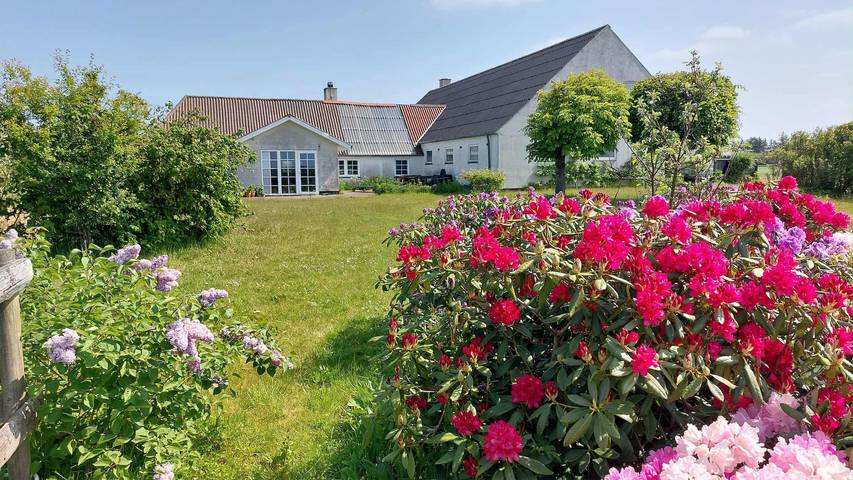 🐴 Landurlaub im gemütlichen Haus mit Pferden in Bøvlingbjerg, Nissum Fjord