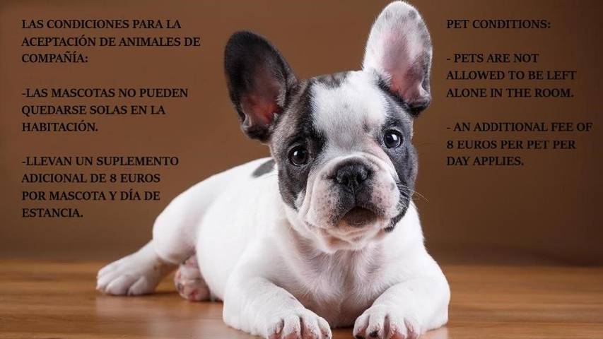 Maison d’hôte pour 2 personnes, avec terrasse dans Estrémadure - 2