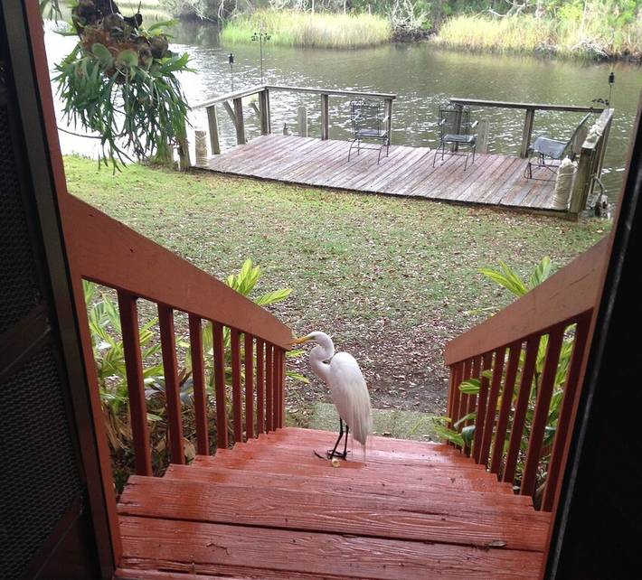 Cottage for 4 people, with yard in Florida