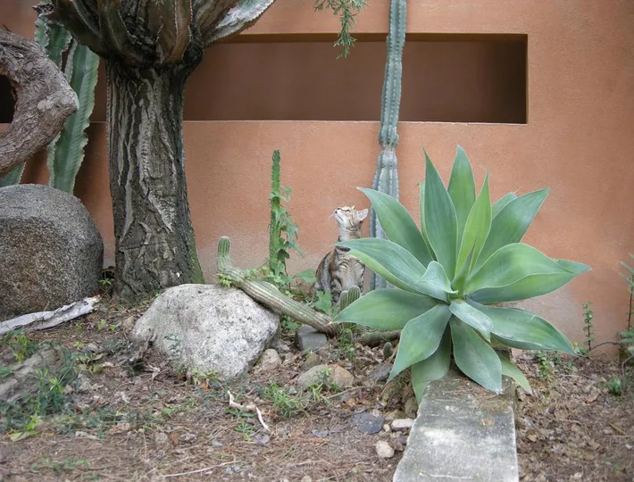 Alojamiento y desayuno para 2 personas, con jardín y vistas - 1