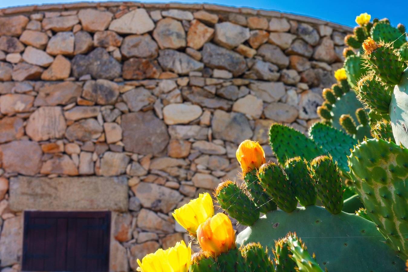 Trullo Macchie - Marina Di Manca... in Taviano, Golfo di Taranto