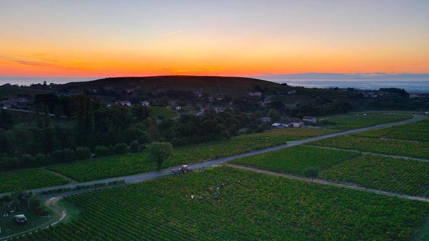Gîte pour 2 personnes, avec vue et terrasse, animaux acceptés à Villié-Morgon - 4