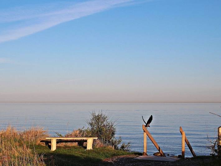 Ferienhaus für 4 Personen, mit Garten, mit Haustier in Dranske - 4