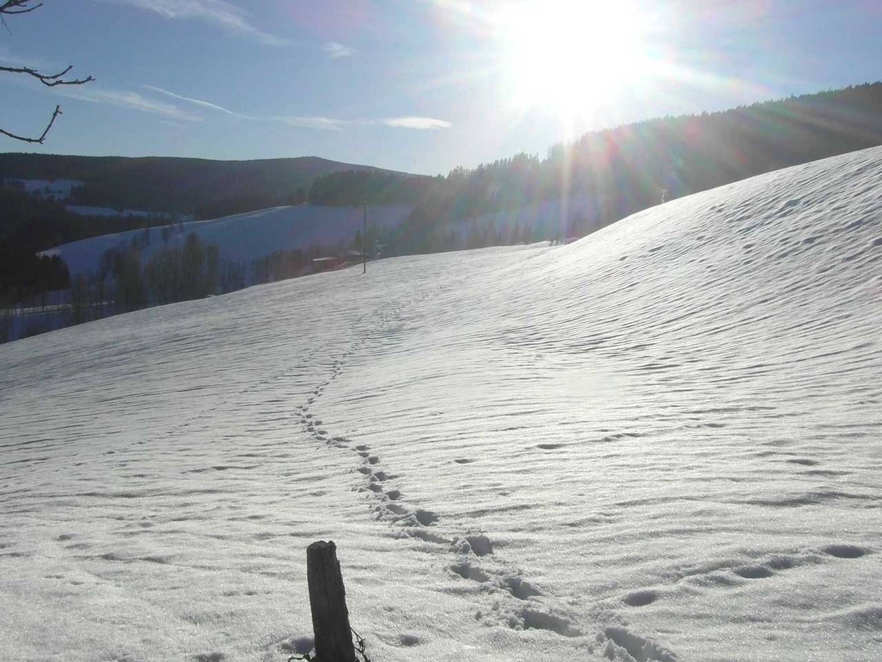 Pircherhof - Urlaub und Erholung im Troadkost'n - Troadkostn 1 in St. Kathrein am Hauenstein, Steirerland