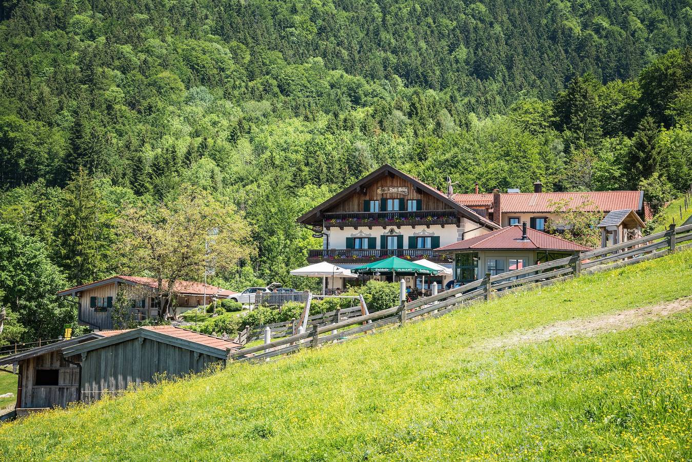 Berggasthof Hotel Duftbräu - Einzelzimmer in Samerberg, Bayerische Alpen