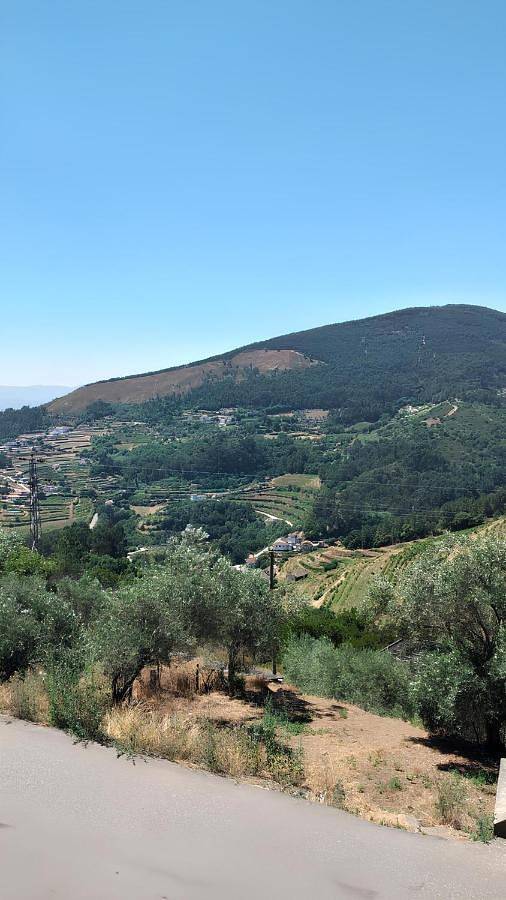 Location de vacances pour 6 personnes, avec jardin et vue, animaux acceptés dans Mesão Frio - 4