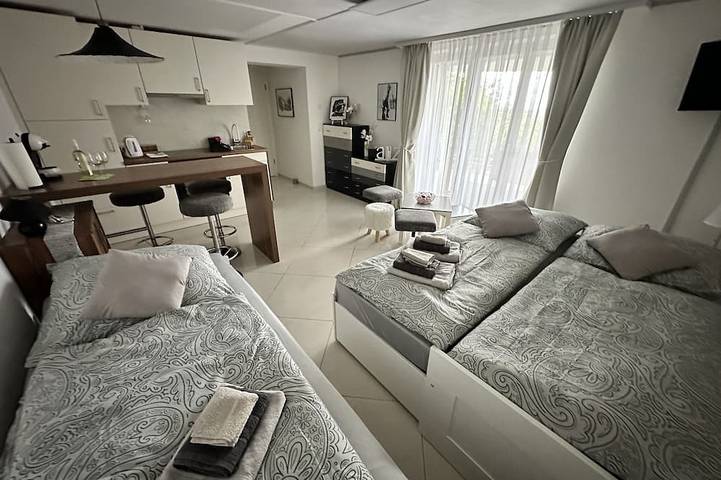 Appartement entier, Studio romantique au milieu des vignobles in Laufen-Uhwiesen, Canton de Zurich