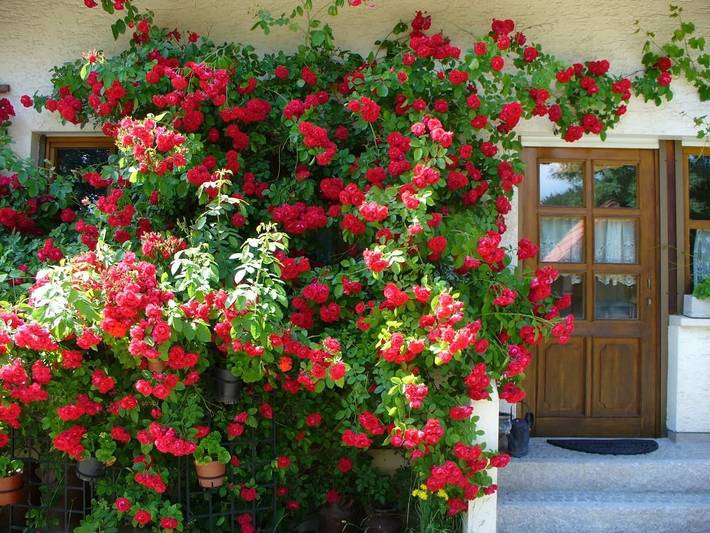 Bauernhof für 4 Personen, mit Sauna und Garten, mit Haustier in Franken - 4