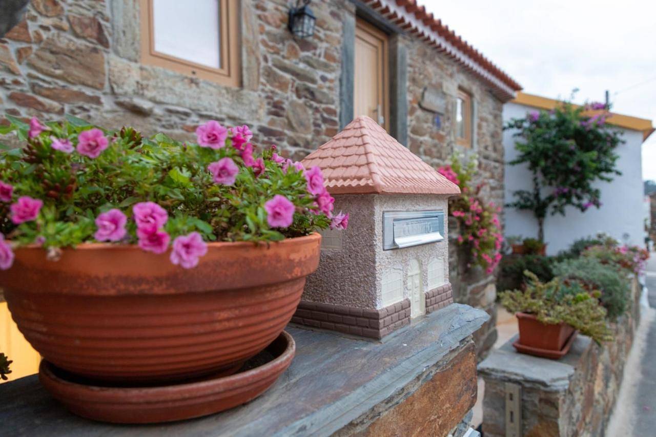Three-Bedroom Villa in Proença-a-Nova, Aldeias do Xisto
