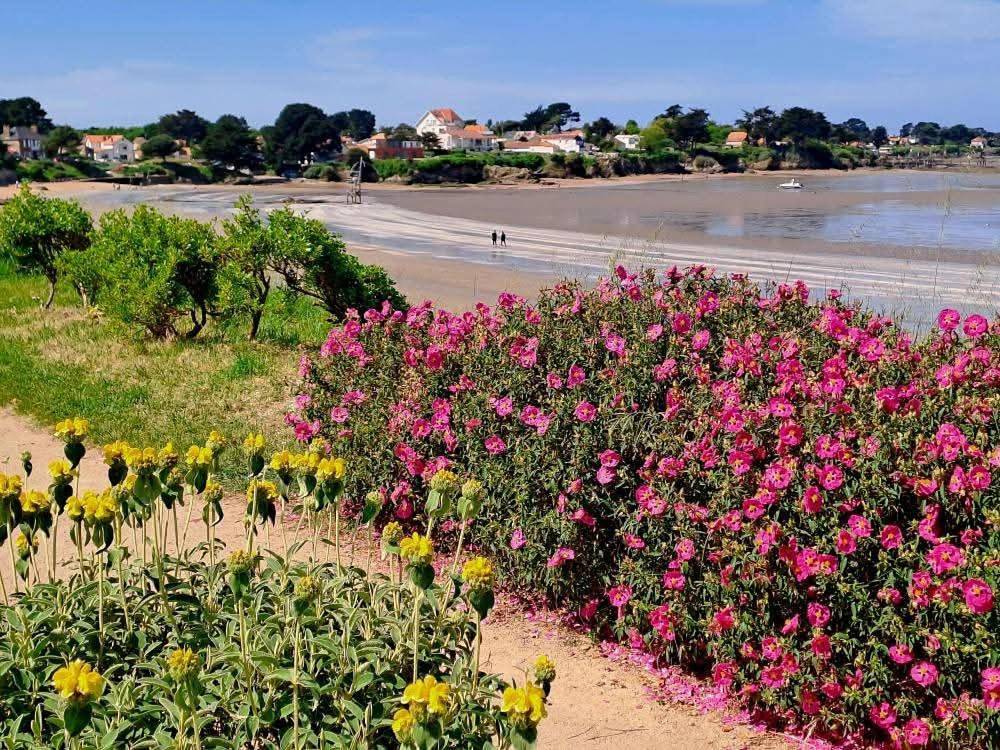 Maison avec jardin à 150 m de la plage in La Plaine-sur-Mer, Côte de Jade