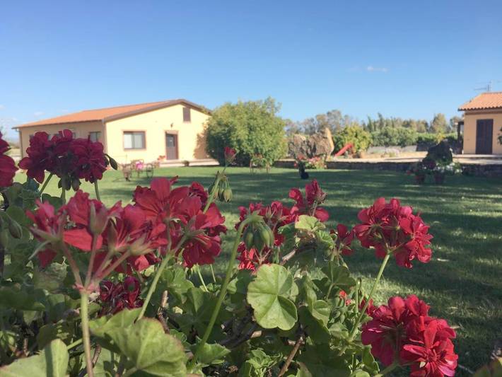 Casa vacanza per 4 persone, con Balcone e Terrazza nonché Giardino a Sassari