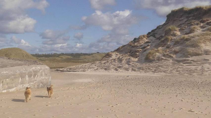 Ferienhaus für 5 Personen, mit Terrasse in Nørlev Strand - 2