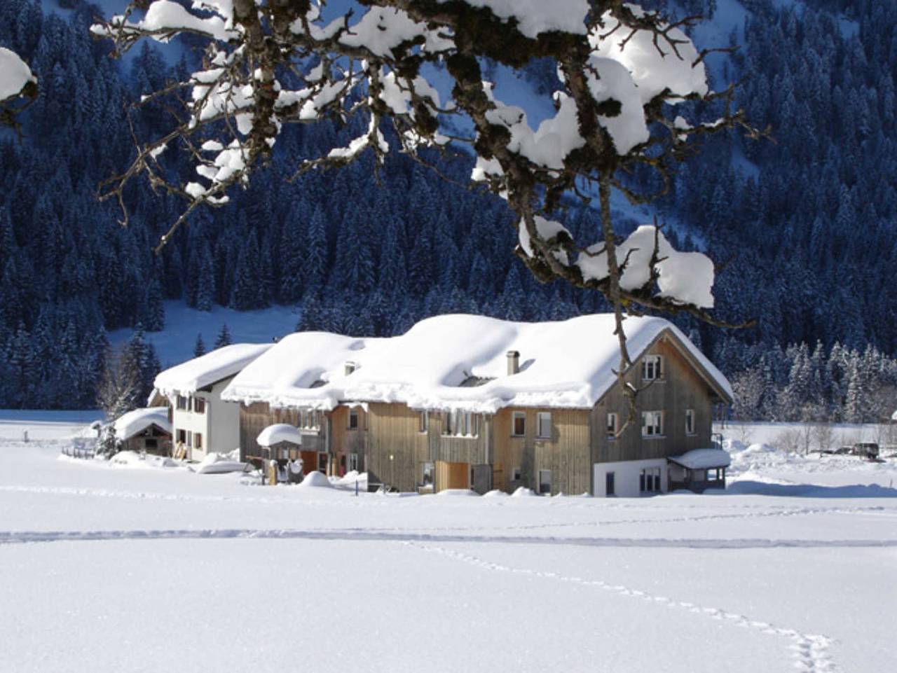 Ganze Ferienwohnung, Appartements Moosbrugger - Haus Herlinde - Appartement Herlinde in Schoppernau, Bregenzerwald