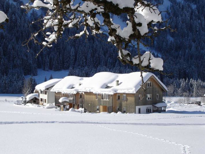 Ganze Ferienwohnung, Appartements Moosbrugger - Haus Herlinde - Appartement Herlinde in Bregenzerwald (Vorarlberg), Schoppernau