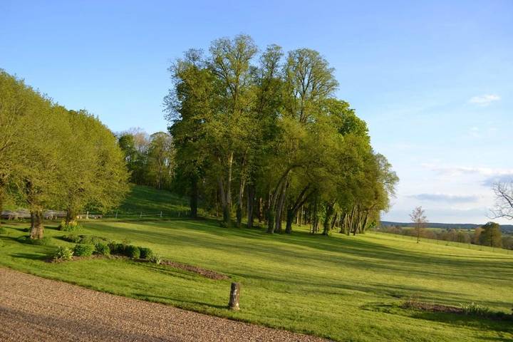 Chambre d’hôte pour 2 personnes, avec jardin ainsi que vue et vue sur le lac, animaux acceptés dans Nièvre - 4