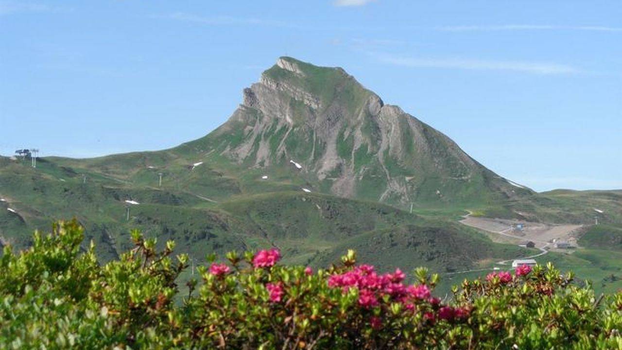 Geheel vakantieappartement, Vakantieappartement voor 4 personen met sauna in Damüls, Bregenzerwoud