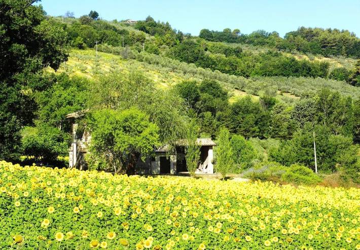 Gîte pour 5 personnes, avec vue et jardin, animaux acceptés à Bevagna - 2