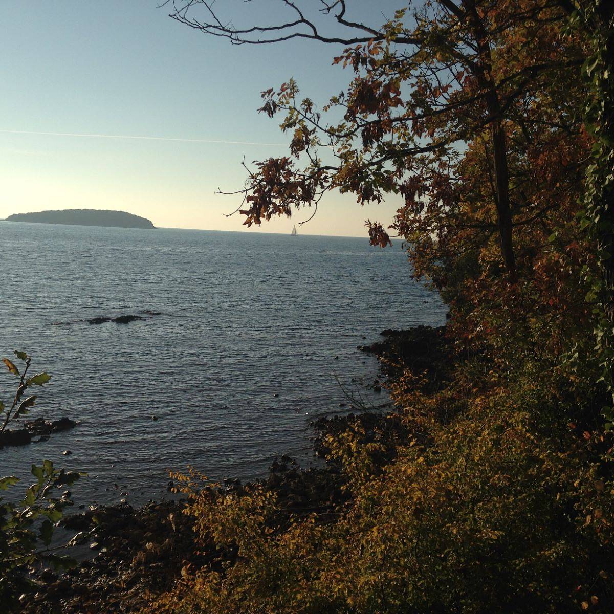 Entire apartment, Apartment A5 Villa Falcon near the sea in Funtana, Vrsar-Funtana