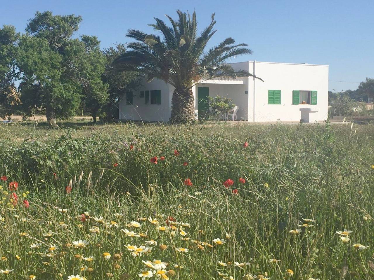 Holiday Home in Sant Francesc de Formentera, Formentera
