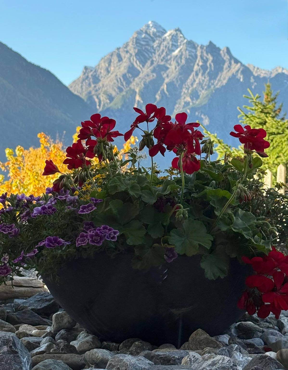 Apartamento vacacional entero, Ferienwohnung Vidos 270 - Ferienwohnung, 80 m2 für 4 Personen in Sent, Lower Engadine