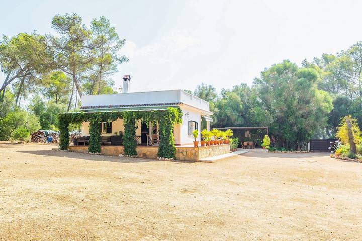 Finca für 4 Personen, mit Garten in Sencelles - 2
