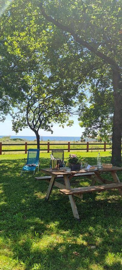 Résidence bord de mer I Querci in Poggio-Mezzana, Corte und Umgebung