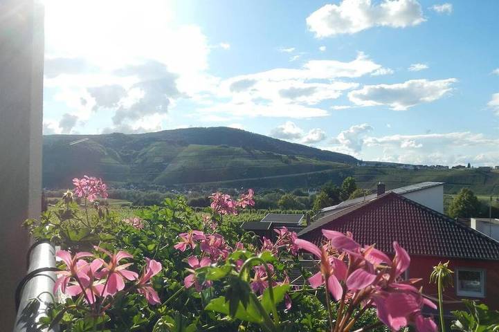 Ferienwohnung für 2 Personen, mit Garten in Brauneberg