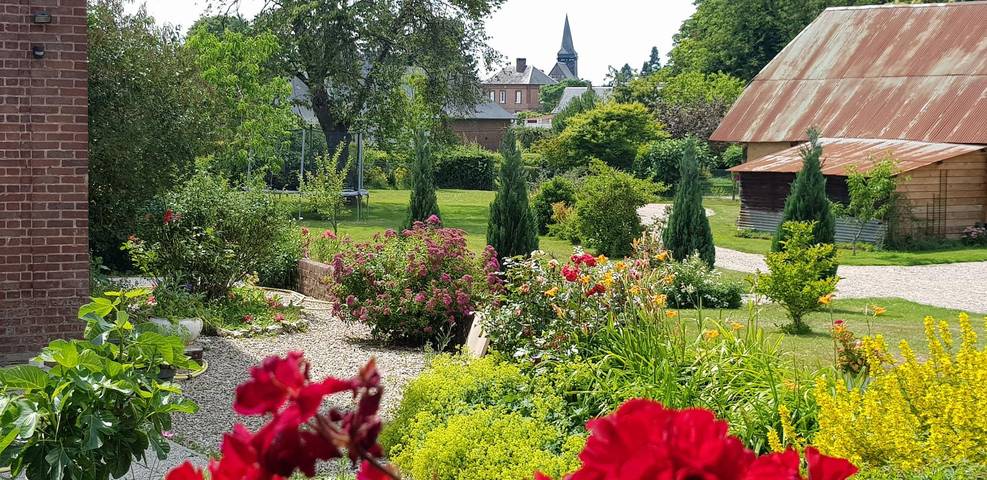 Camélia in Vieux-Manoir, Région de Rouen