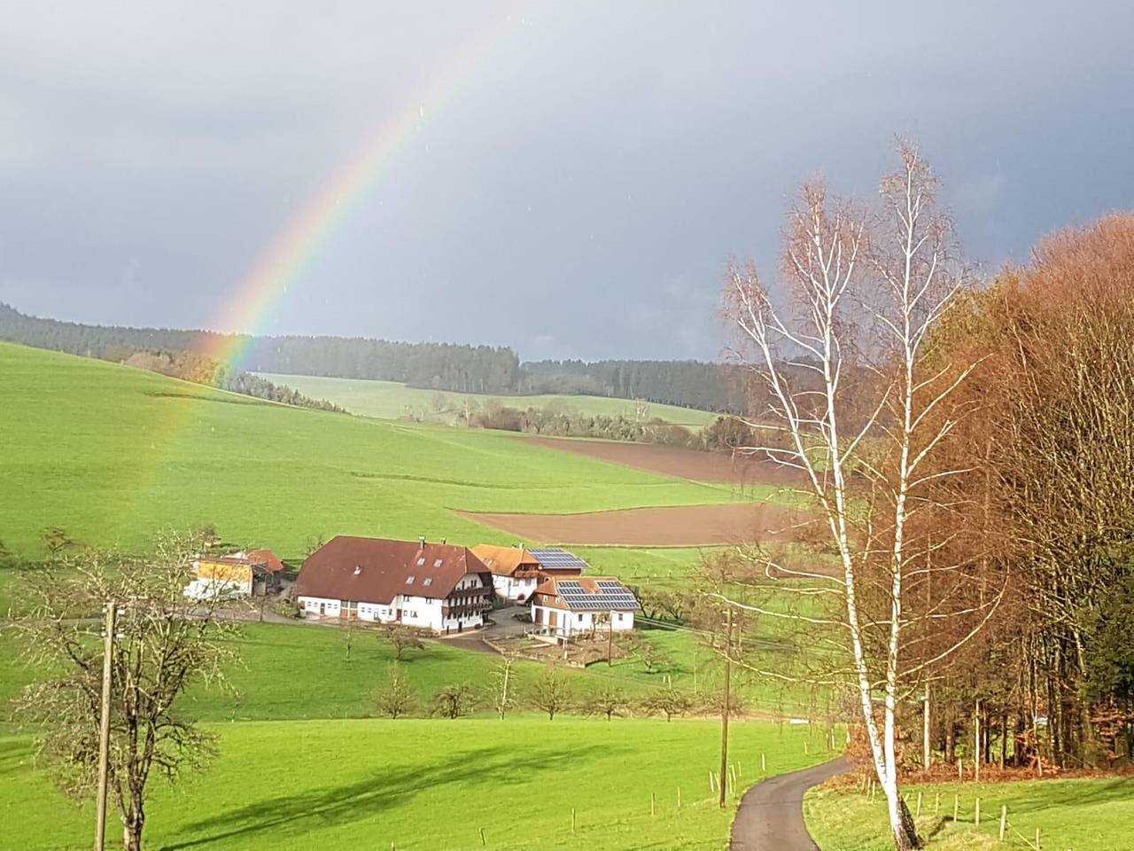 Stockerhof - Ferienwohnung Bergwiese, 75qm, 2 Schlafzimmer, Wohn-/Schlafzimmer, Terrasse, max. 5 Personen in Elzach, Selva Negra Central