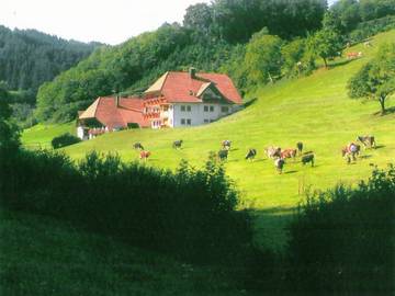 Ferienwohnung für 4 Personen in Hofstetten, Hochschwarzwald, Bild 2