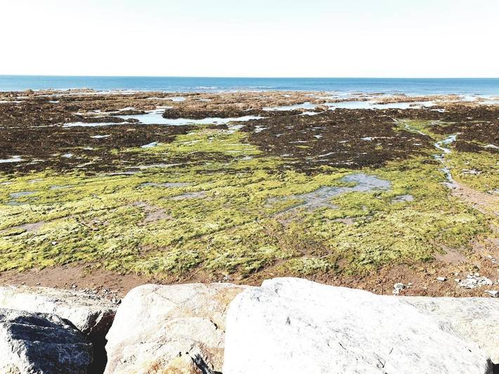 Location de vacances pour 4 personnes, avec terrasse et jardin à Bretignolles-sur-Mer - 4