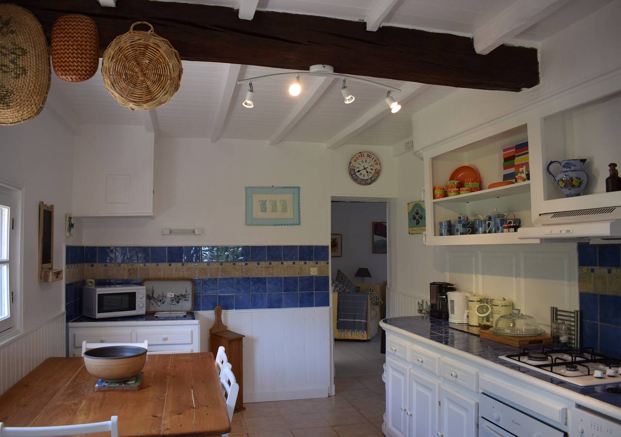 Lavande à Champfort in Saint-Vallier, Charente