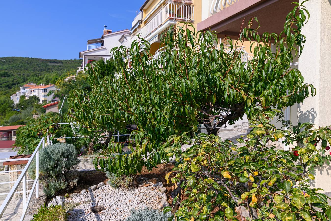 Cały apartament, Dwupokojowy apartament z tarasem i widokiem na morze Rabac, Labin A-19055-a in Rabac, Labin-Rabac