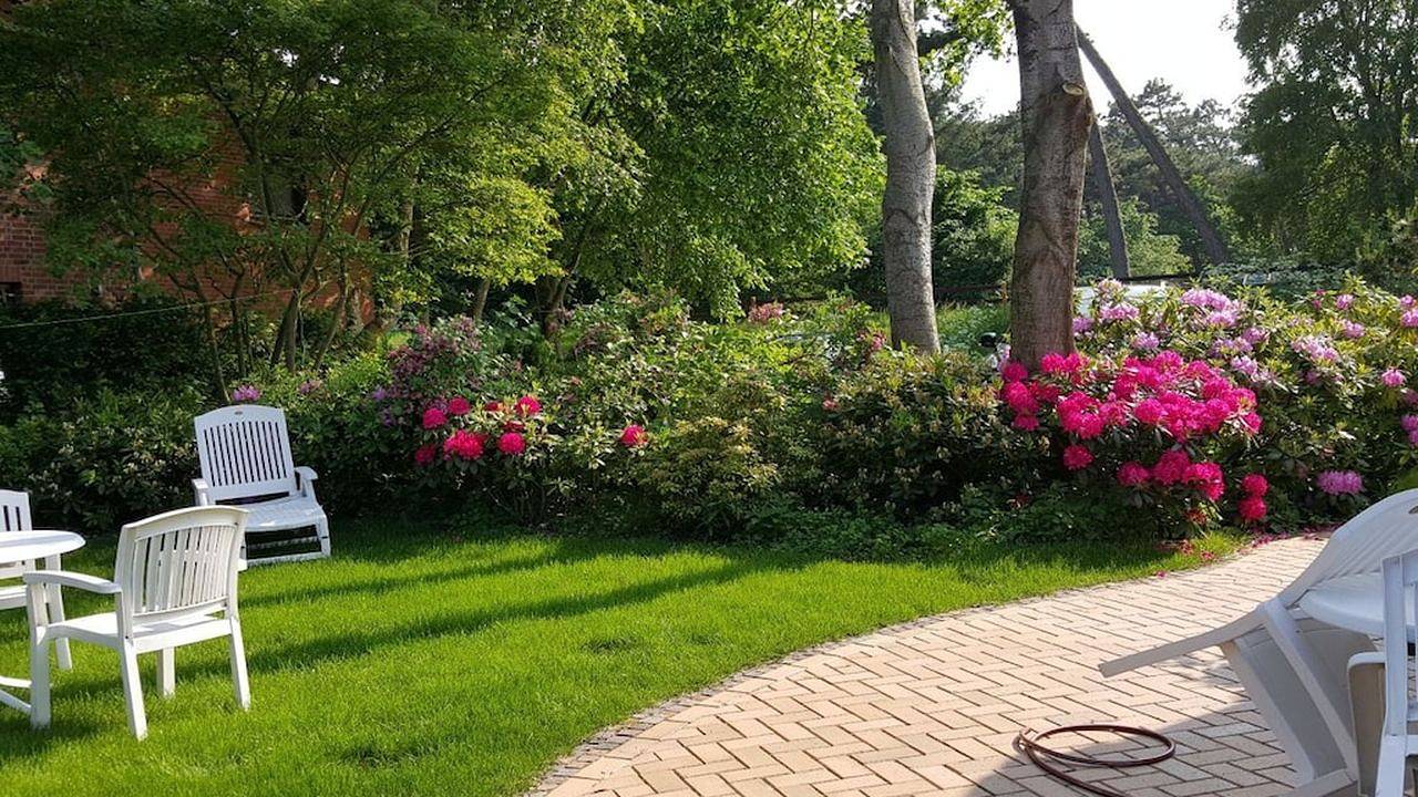 Ferienhaus für 3 Personen (40 m²) in St. Peter-Ording in St. Peter-Bad, St. Peter-Ording