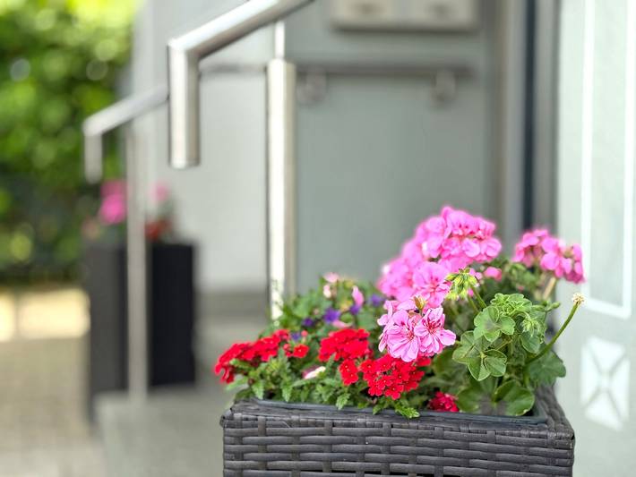 Apartamento entero, Apartamento vacacional '1' con balcón y Wi-Fi in Langenargen, Region Bodensee-Oberschwaben