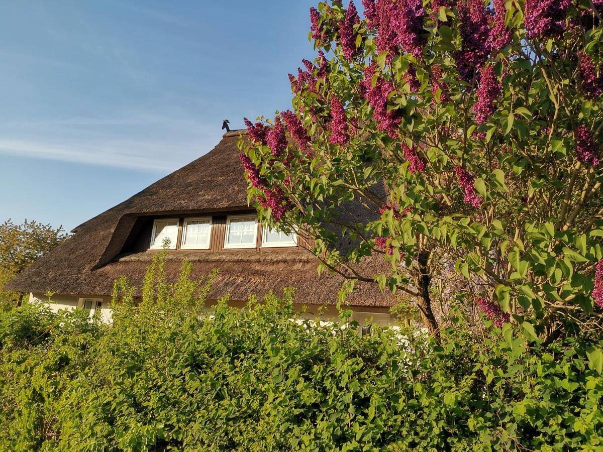 Ganze Wohnung, Two-Bedroom Apartment in Stove, Boiensdorf