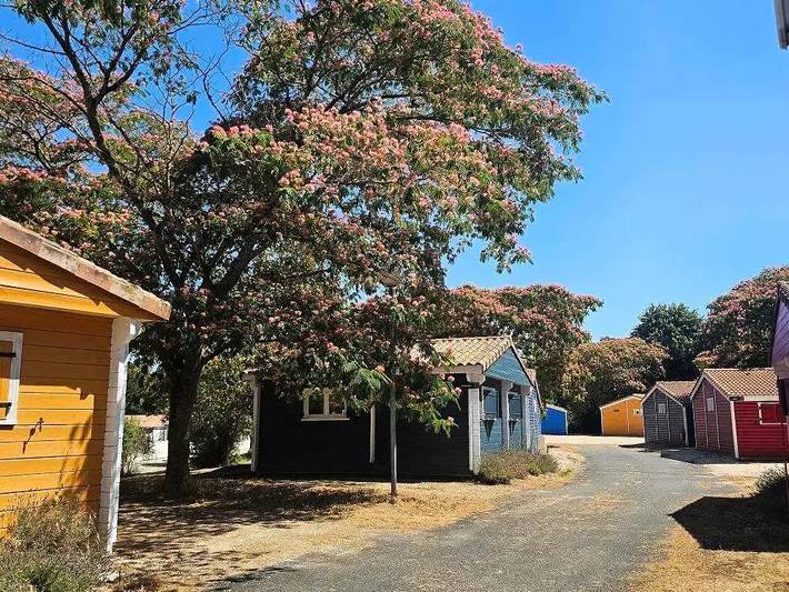 Mobil home pour 6 personnes, avec terrasse et piscine à Vouneuil-sur-Vienne - 3
