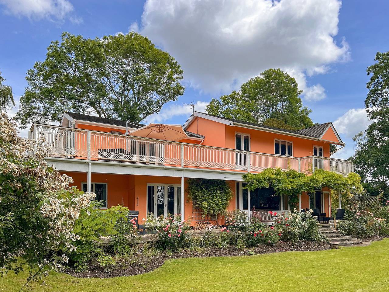 Dunburgh Wood in Geldeston, Sunrise Coast
