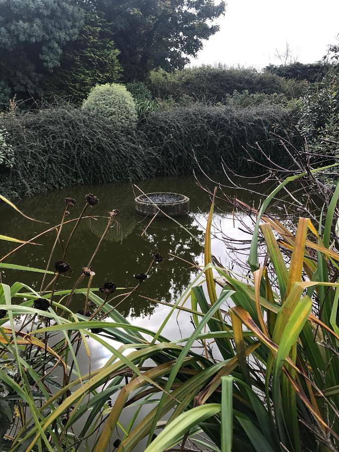 Gîte pour 2 personnes, avec jardin à Minihy-Tréguier - 2
