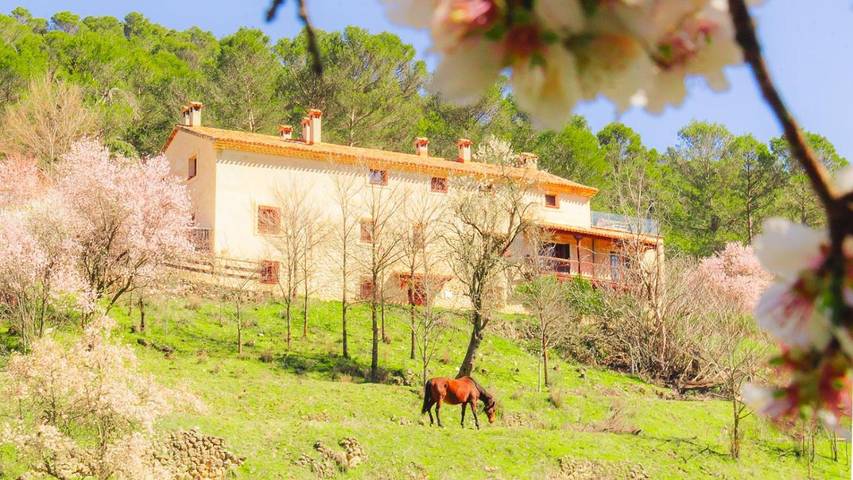 Casa rural para 4 personas, con jardín en Cuenca
