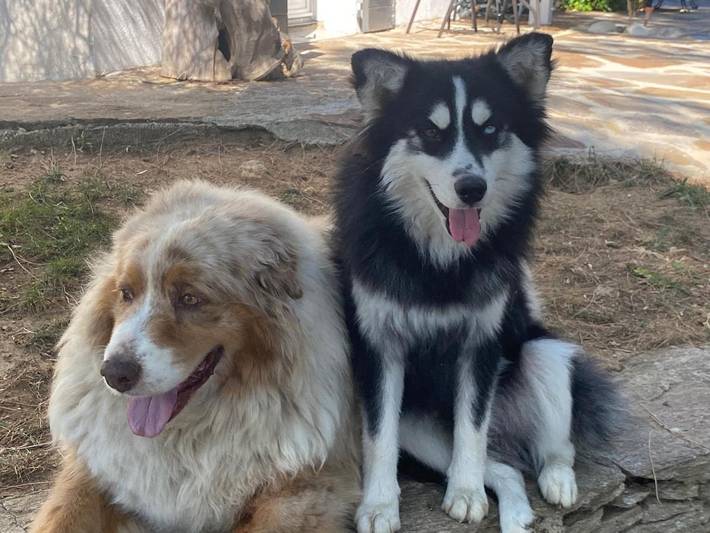 Maison d’hôte pour 2 personnes, avec vue et sauna ainsi que piscine et terrasse dans Parc national de Port-Cros - 2